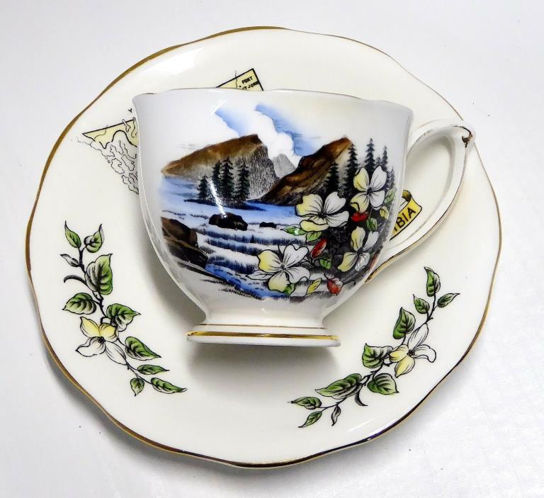 Queen Anne Fine Bone China and Saucer Cup