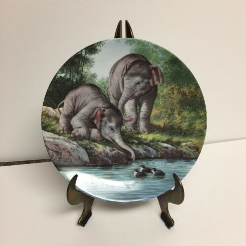 Curiosity Asian Elephants Tomorrows Promise 1992