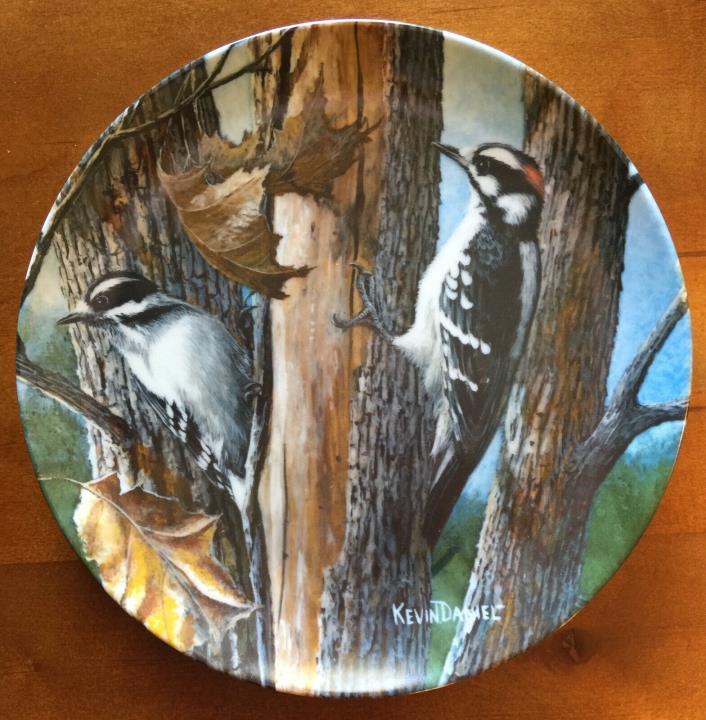 Downy Woodpecker Kevin Daniel 9th Enc Britannica Birds of Garden Collector Plate