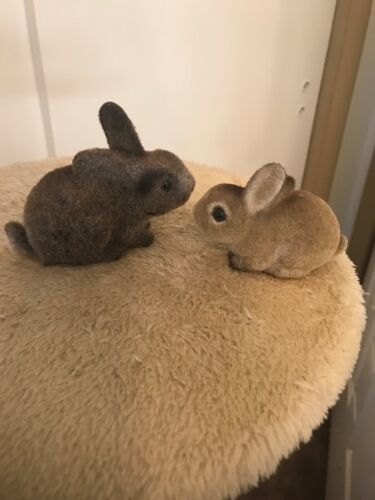 2 Cute Vintage Josef Original Flocked Bunny Rabbits Figurines Brown Bunnies