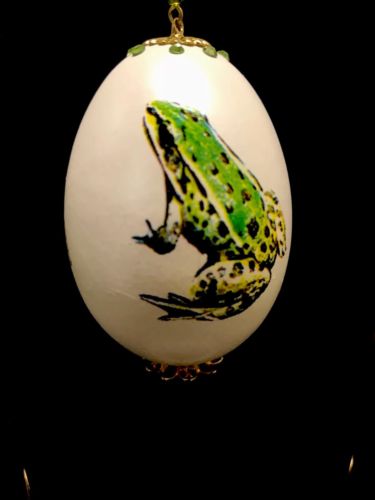 100% HANDMADE COLLECTIBLE REAL EGG EASTER EGG WITH FROG PAINTING