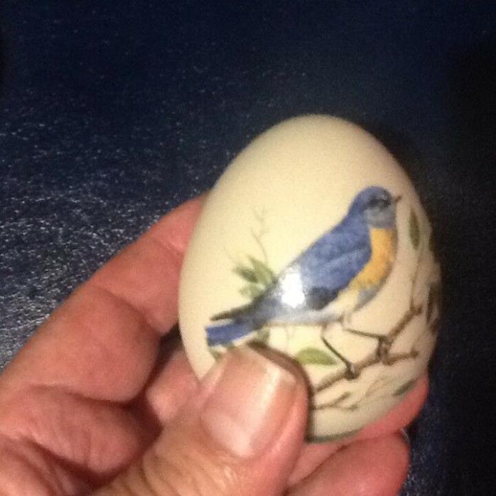 Womack's Collectibles Hand Painted Egg Mountain Blue Bird