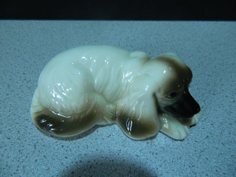 Beautiful Aphgan Hound Pup - 3 3/4