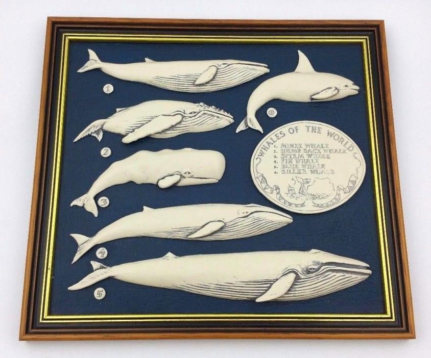 Whales Of The World -Six Molded Whales Mounted on Blue Leather