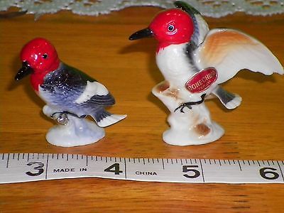 Vintage Set of Miniature Bone China Red Headed Woodpecker Bird Figurines