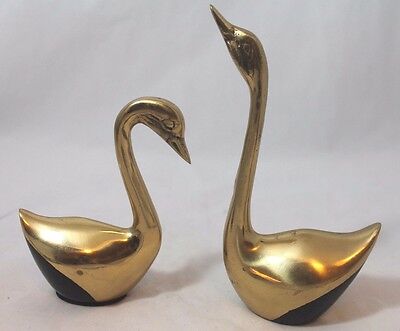 Pair of Solid Brass With Black Accents Swans Mating Pair Male Female 3