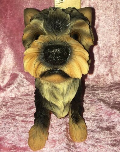 Yorkie Figurine Oversized Head, Yorkshire Terrier Realistic Eyes, 6”, Unkn. Mfg