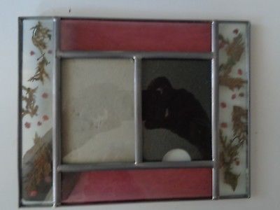CARR BURNS OF BOSTON STAIN GLASS DRIED FLOWERS FRAME 7 1/2