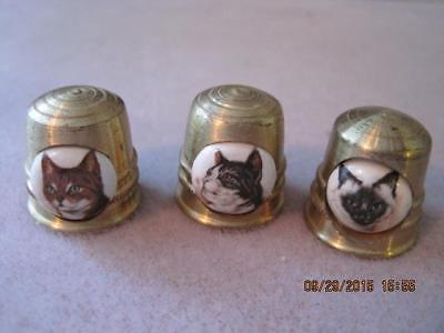 3 pc Ceramic CAT Buttons in Solid Brass Thimble Shaped Miniatures Holland Vtg