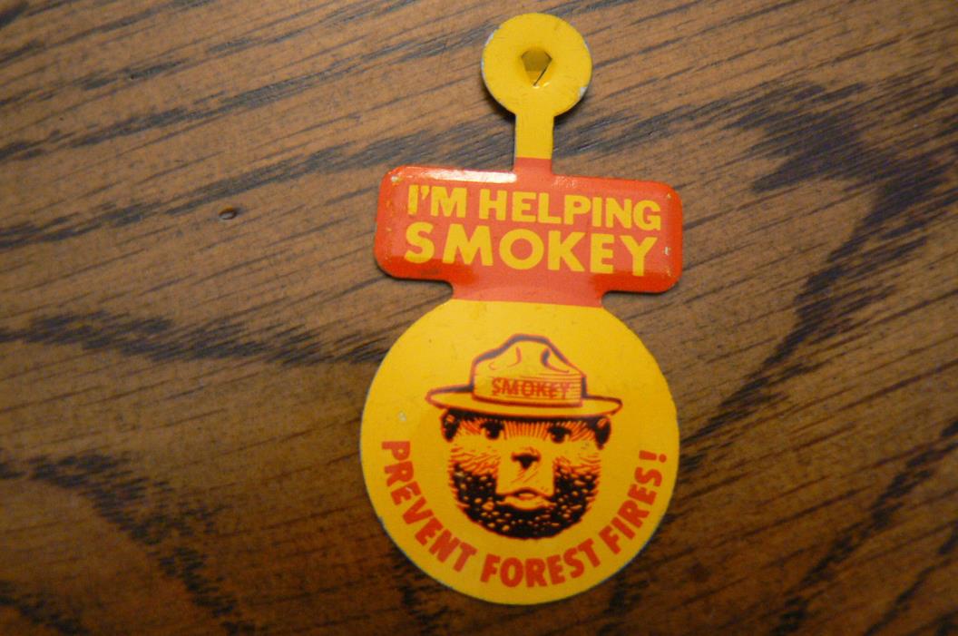 I'M HELPING SMOKEY The Bear PREVENT FOREST FIRES Pin FREE US SHIP