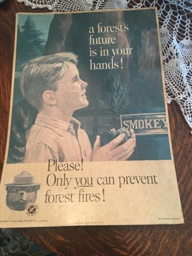 SMOKEY THE BEAR POSTER Prevent Forest Fires  1965 13x18.5”