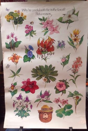 Vintage Smokey The Bear Poster. (Flowers)