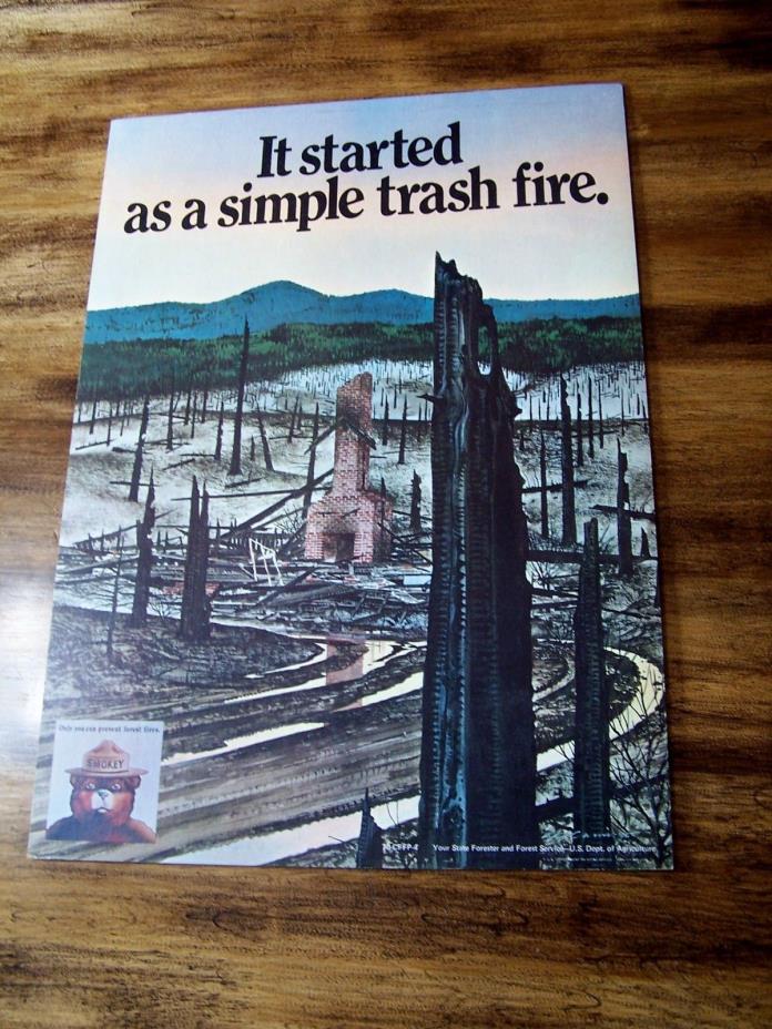 ORIGINAL VINTAGE 1970 SMOKEY BEAR USFS FOREST FIRE PREVENTION POSTER