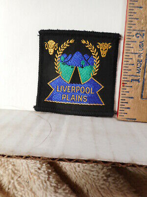 Boy Scouts New South Wales Australia Liverpool Plains Patch  31TB.