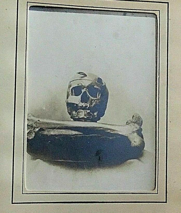 Skull & Bones Secret Society Rare 1909 Club Yearbook Yale University Illuminati