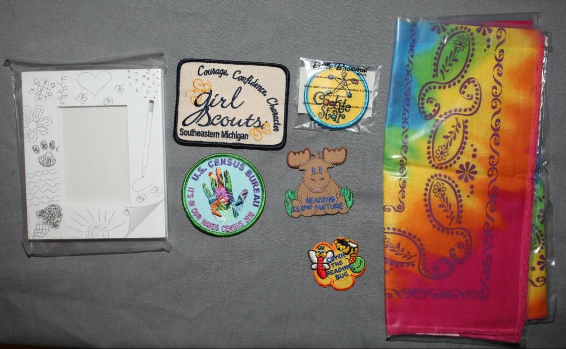 Girl Scout Patches Little Brownie Council Frame Light up
