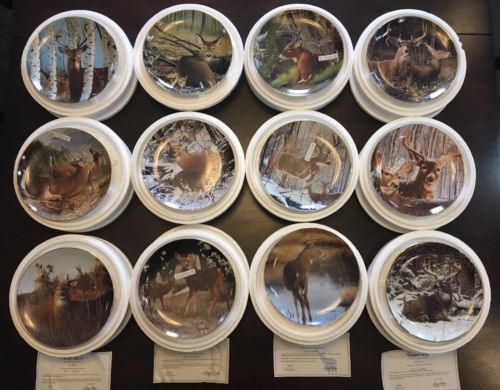 Pride of the Wilderness Danbury Mint Porcelain Plates Complete Set of 12