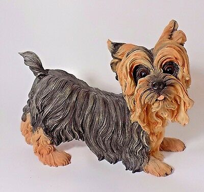 Yorkie yorkshire terrier dog 