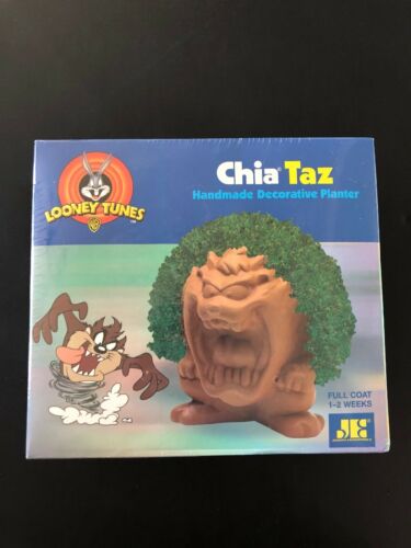 New Looney Tunes Chia Taz Tasmanian Devil Handmade Decorative Planter