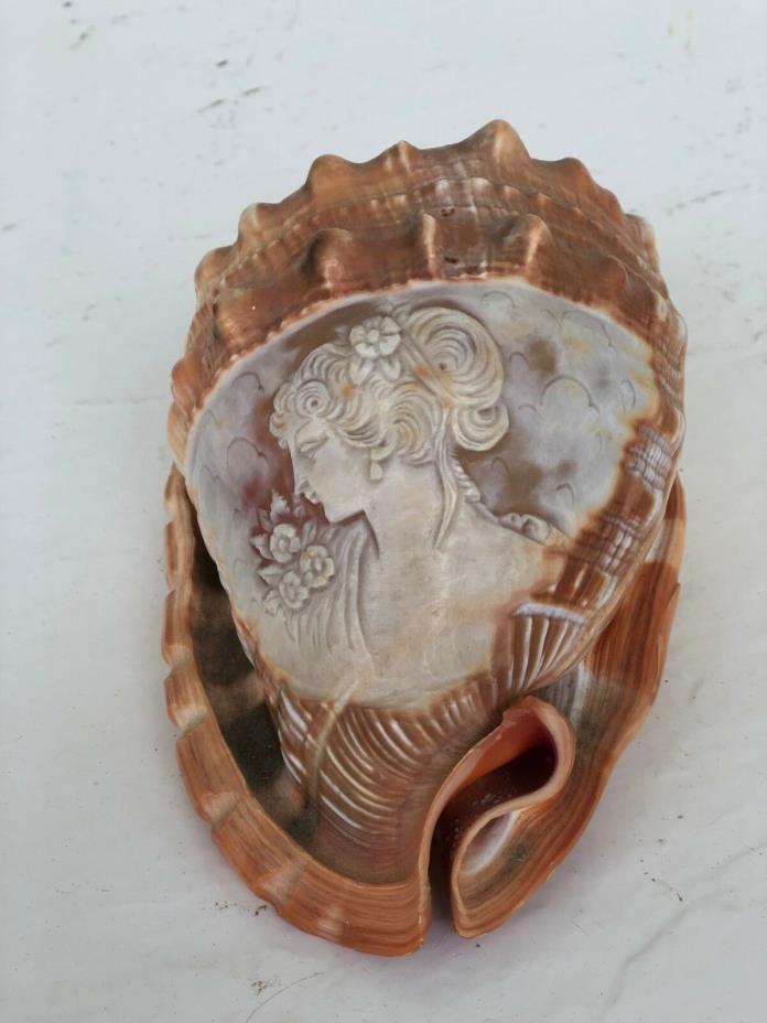 Italian Victorian Cameo Carved Conch Shell 6