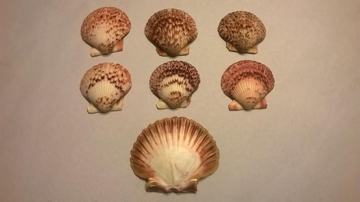 Lot of 7 Pink/Purple Oyster Seashells - 2