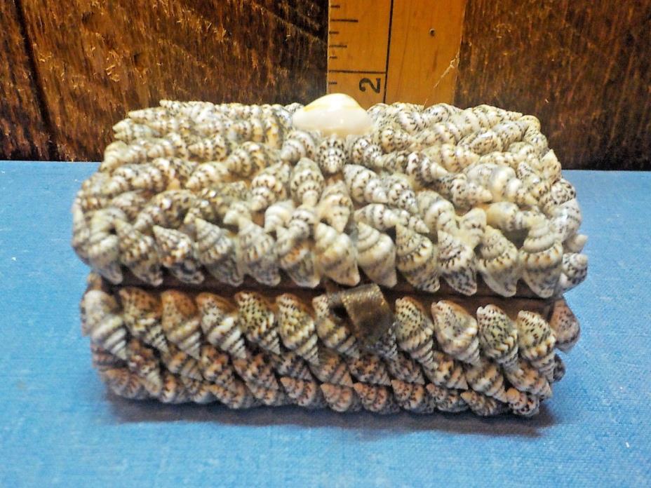 Sea Shell Box Vintage Small Jewelry Trinket Made in Phillipines 14 shells incl