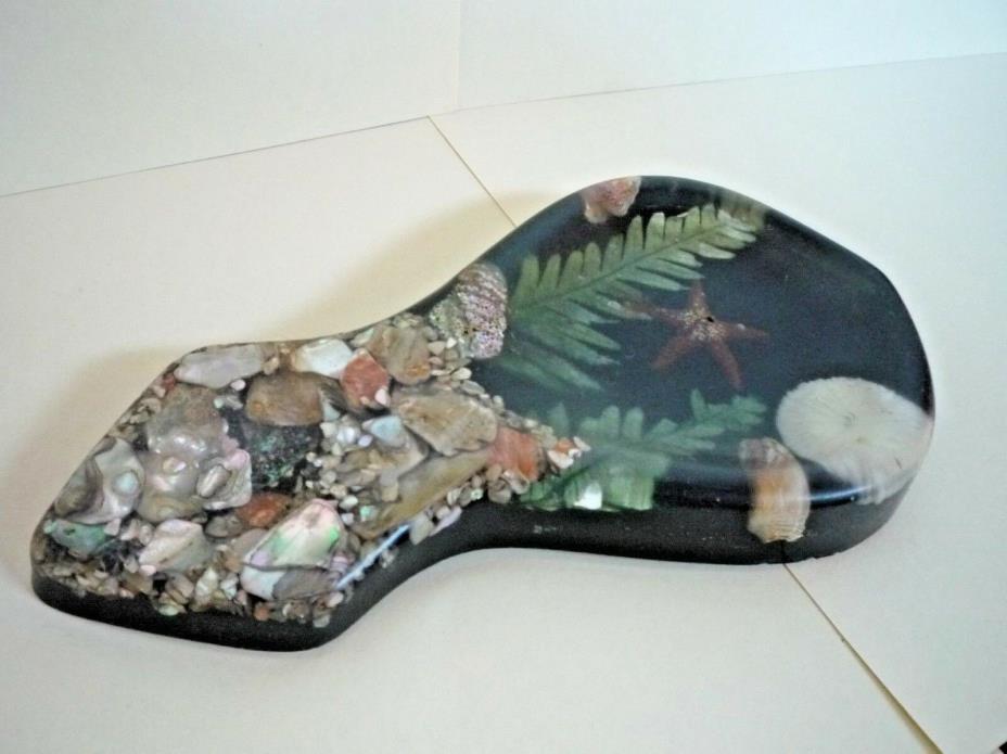 Acrylic Resin Cast Seashore Vegetation and Shells Trinket Dish