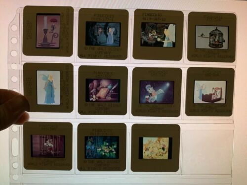 Walt Disney Company Rare 35mm Press Promo Slides Film - Pinocchio lot of 11