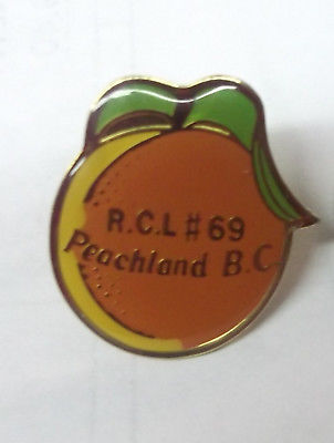 PEACHLAND, BC, BRANCH#69, LEGION PIN IN VERY GOOD CONDITION