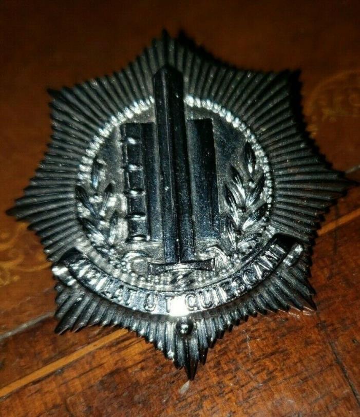 Amsterdam Police Cyber Unit Hat Ornament (Not current issue)