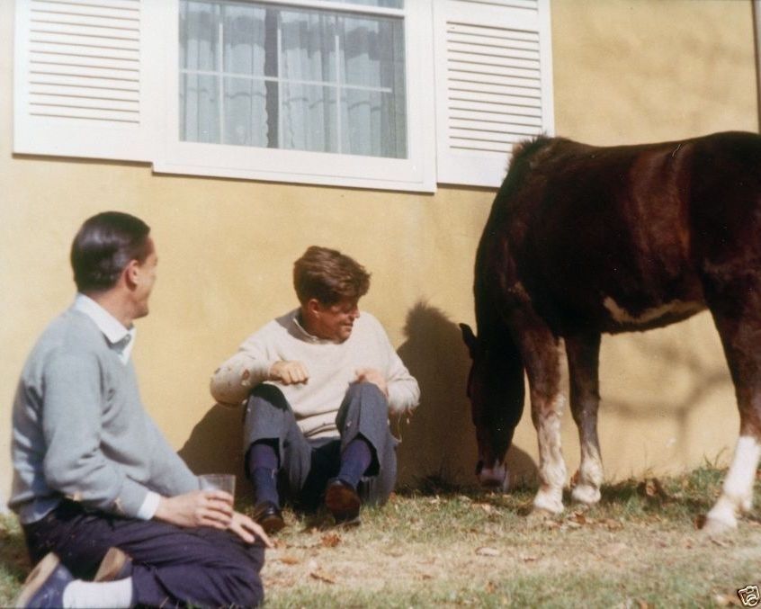 President John F. Kennedy and Ben Bradlee with pony in Virginia New 8x10 Photo
