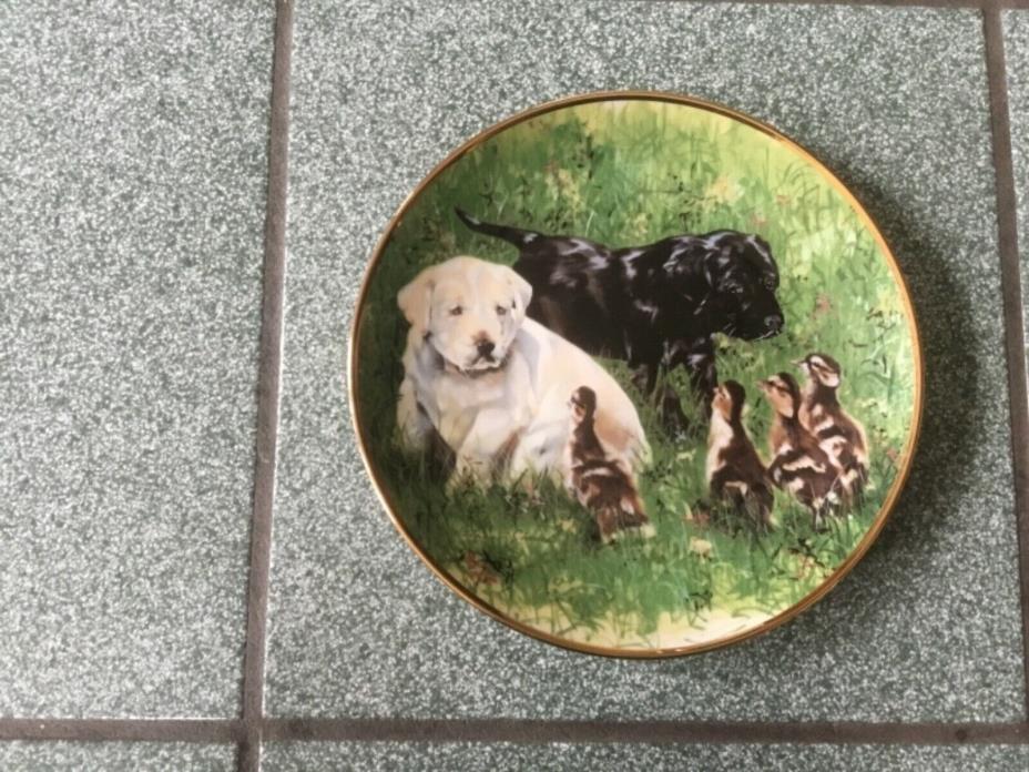 Woodmere China Plate, Labrador, “First Impressions” 8 inch dianeter