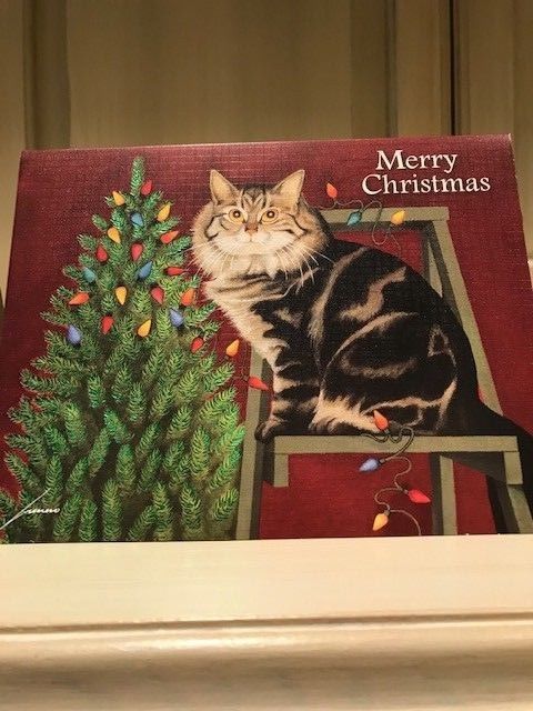 56 Miscellaneous Cat Christmas Cards and envelopes looking for a good home!