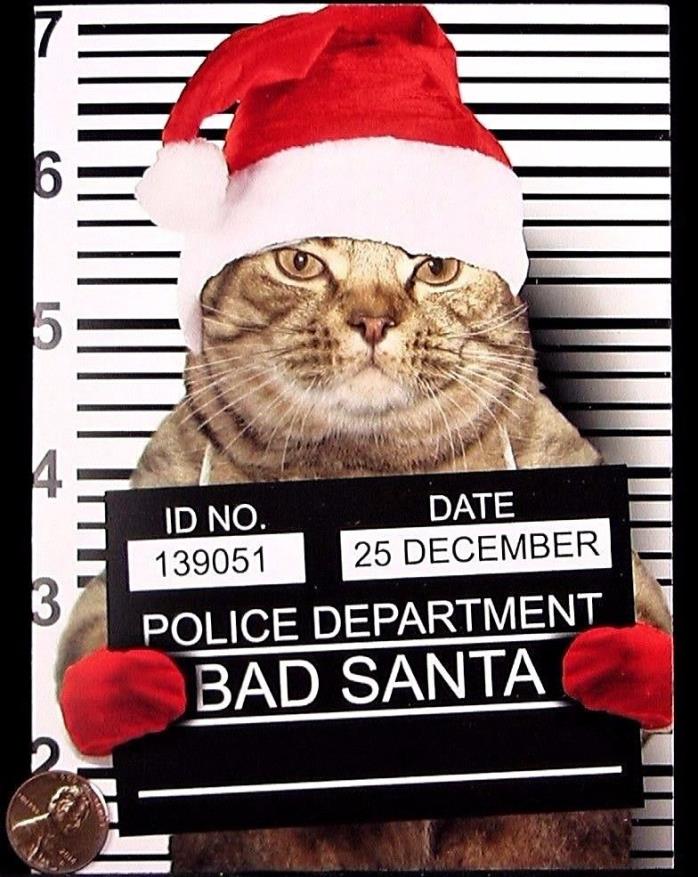 Kitten Cat Police Lineup Bad Santa Hat Funny Humor - Christmas Greeting Card NEW