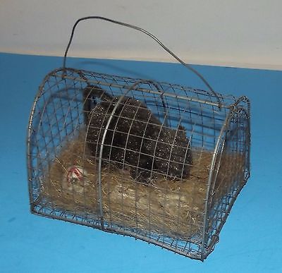 Scary Decoration Rat in Wire Cage with Skulls 7