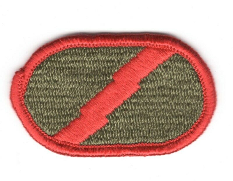 Army Airborne Oval Patch: Co. D, 101st Military Intelligence BN, LRS Det.