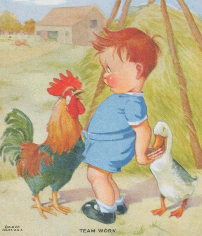 Rooster Duck Boy Blotter Fuller Bros Venetian Blinds Des Moines Iowa Team Work