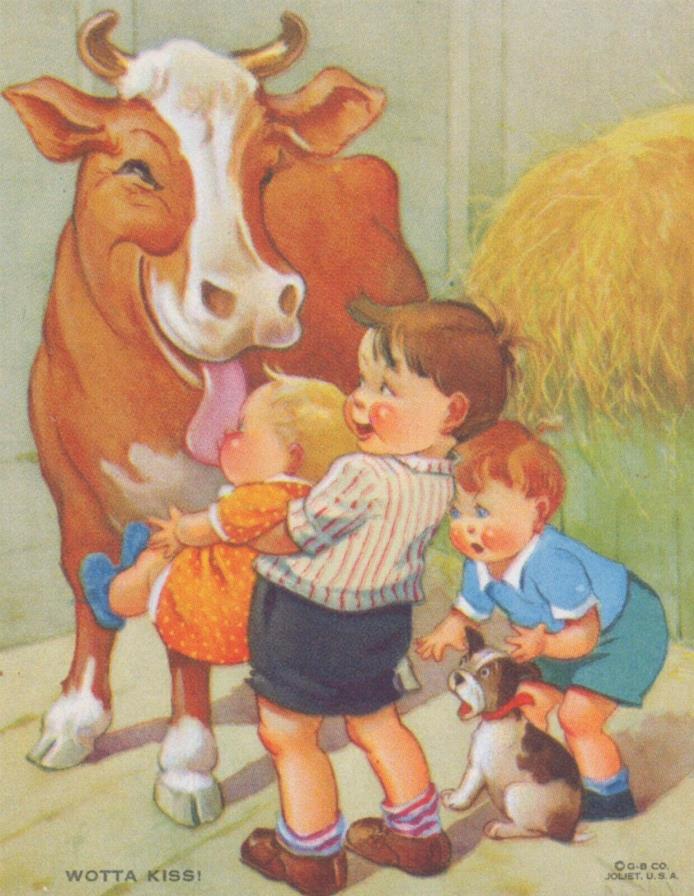 Cow Licks Baby Blotter Fuller Bros Venetian Blinds Des Moines Iowa