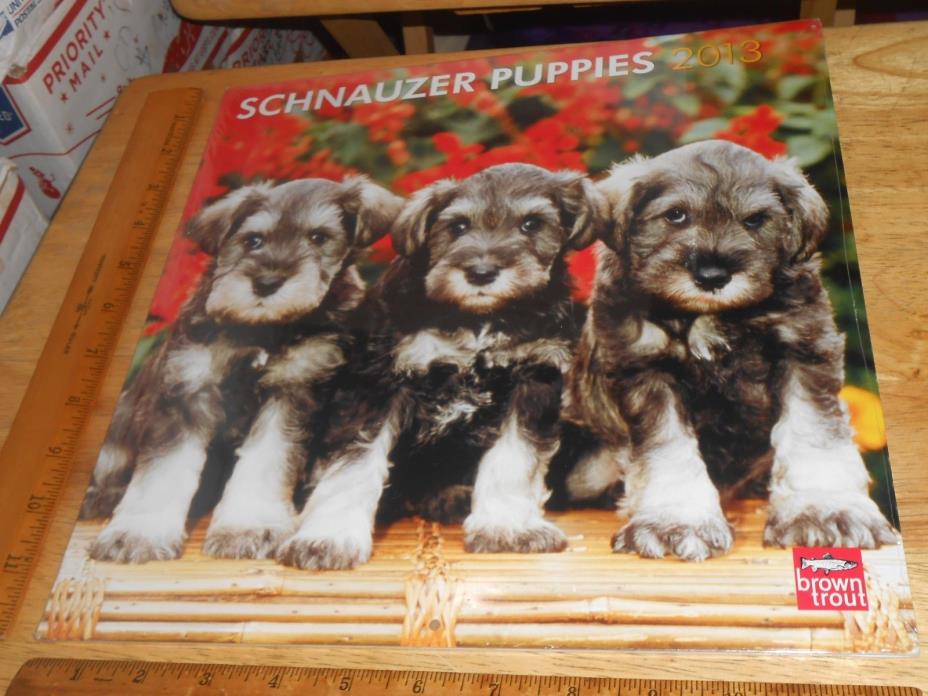 SCHNAUZER PUPPIES 2013 Wall Calendar, A Diff. Puppy Dog Pic Each Month,12