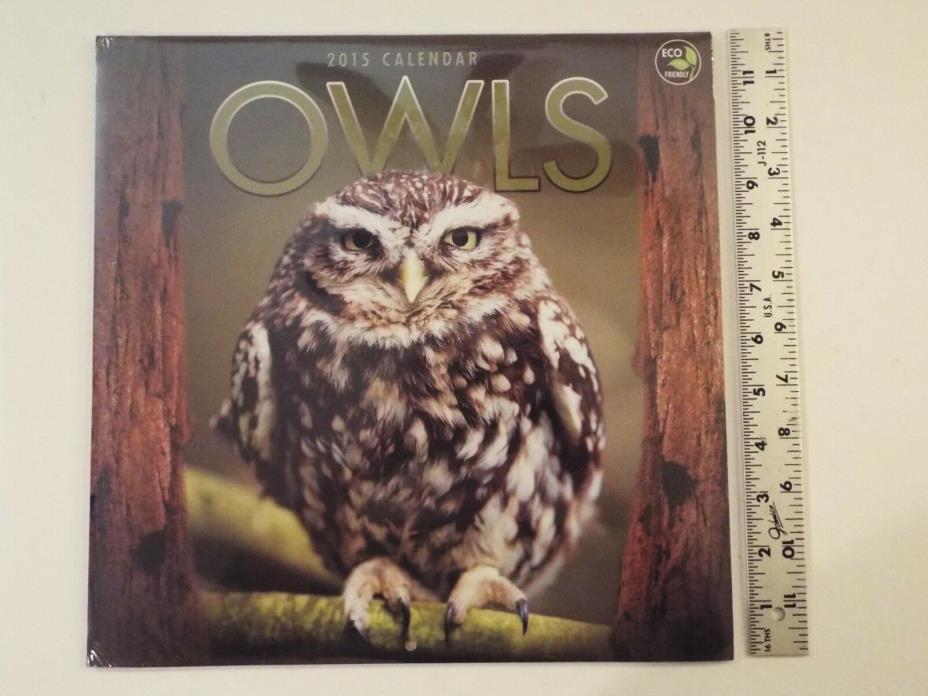 NEW-OWLS-2015 Calendar by TF Publishing-Photo Art-RARE