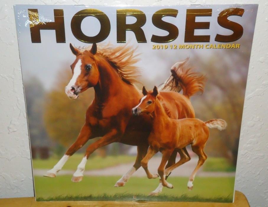 Horses 2019 Wall Calendar 12-months 12