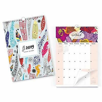 Wall Calendar From January Desk Calendars 2019 Through December - Colour Monthly