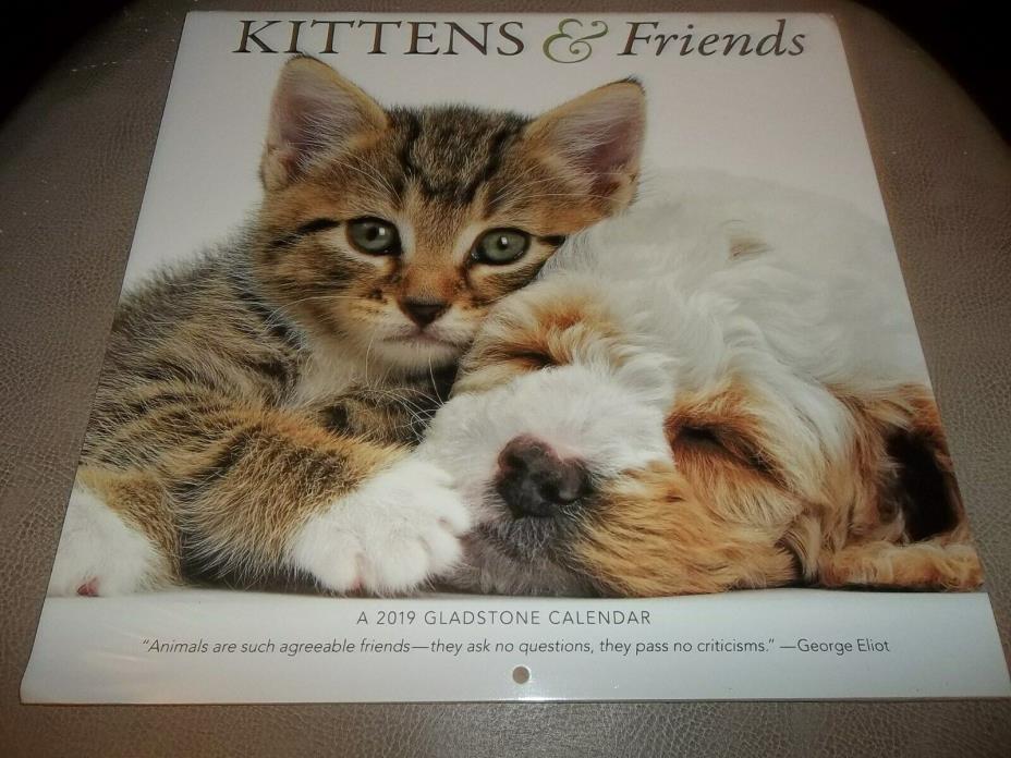 2019 Kittens & Friends 12