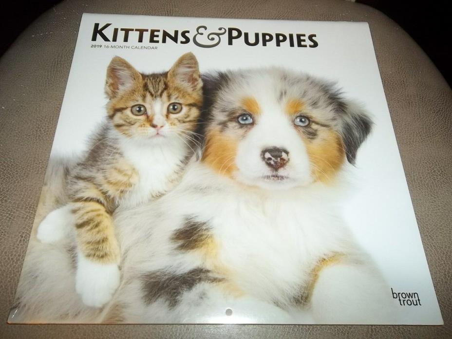 2019 Kittens & Puppies 12