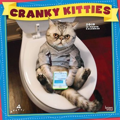 Avanti Cranky Kitties Wall Calendar, Funny Cats by BrownTrout