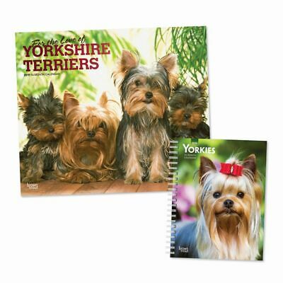 Yorkshire Terriers 2019 Calendar Gift Set, Yorkshire Terrier by BrownTrout