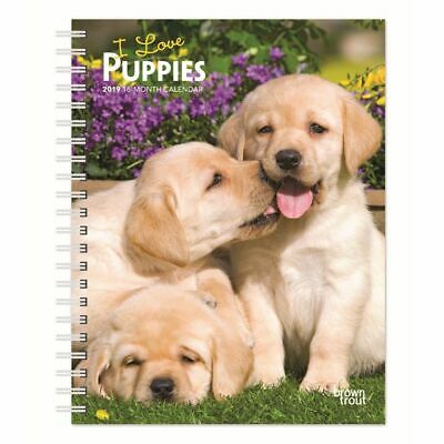2019 Puppies Planner, Cute Puppies by BrownTrout
