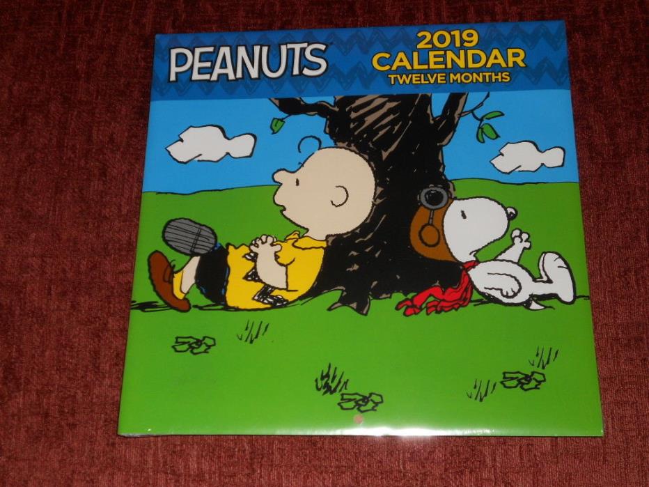 2019) 12-Month Wall Calendar: Peanuts (Brand New and Sealed)