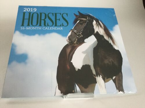 Horses 2019 Calendar 16 Month Wall Hanging 12 X 11 Inch Horse Lover Country NEW
