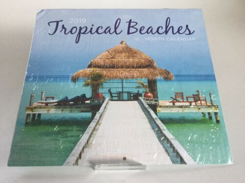 Tropical Beaches 2019 Calendar 16 Month Wall Hanging 12 X 11 Inch Beach Scenes